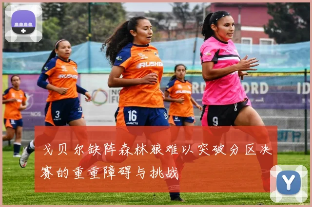 戈贝尔缺阵森林狼难以突破分区决赛的重重障碍与挑战